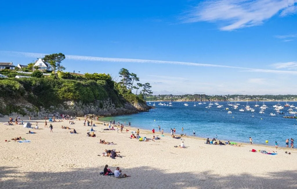 Pollution des plages à Plougonvelin : l'impact des déjections canines