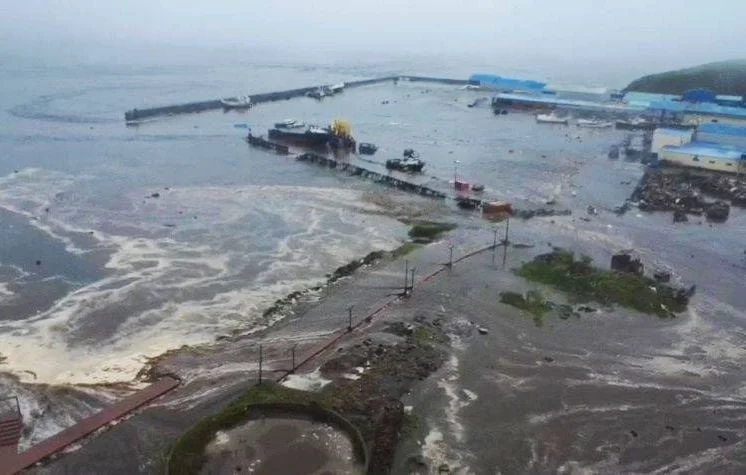 Tsunami dans le Pacifique et décès de Stéphane Bertheau