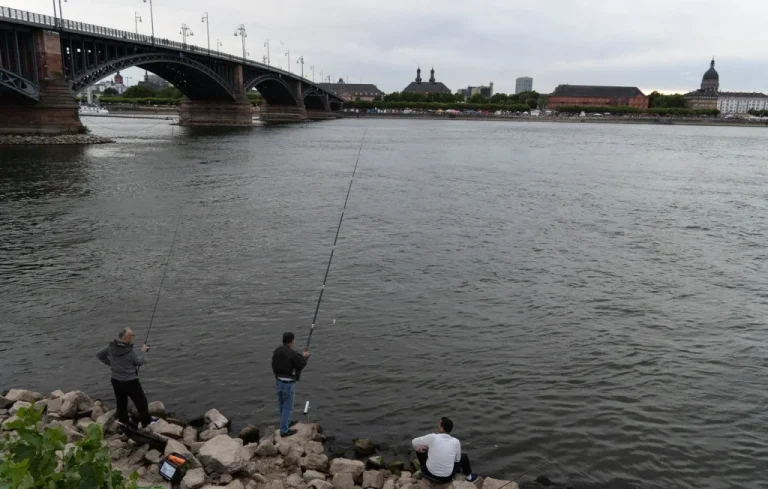 Un homme se noie dans le Rhin après un saut depuis un pont