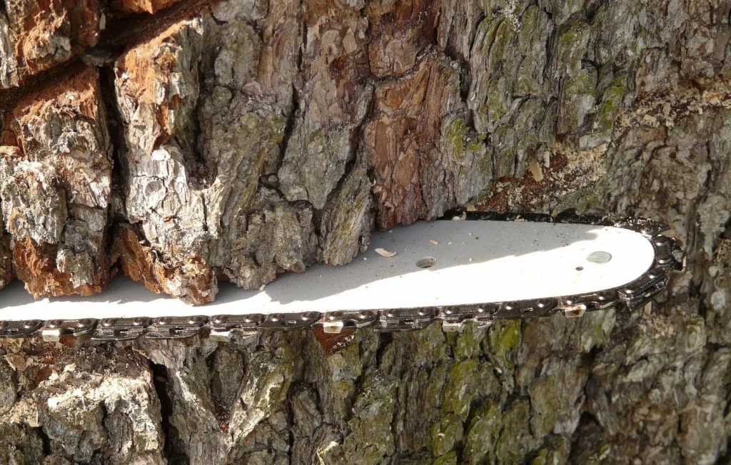 Un voisin abat des arbres pour vendre sa maison à Nantucket