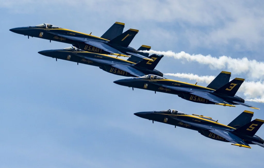 Une Américainen accuse les Blue Angels d'avoir causé la mort de son chat