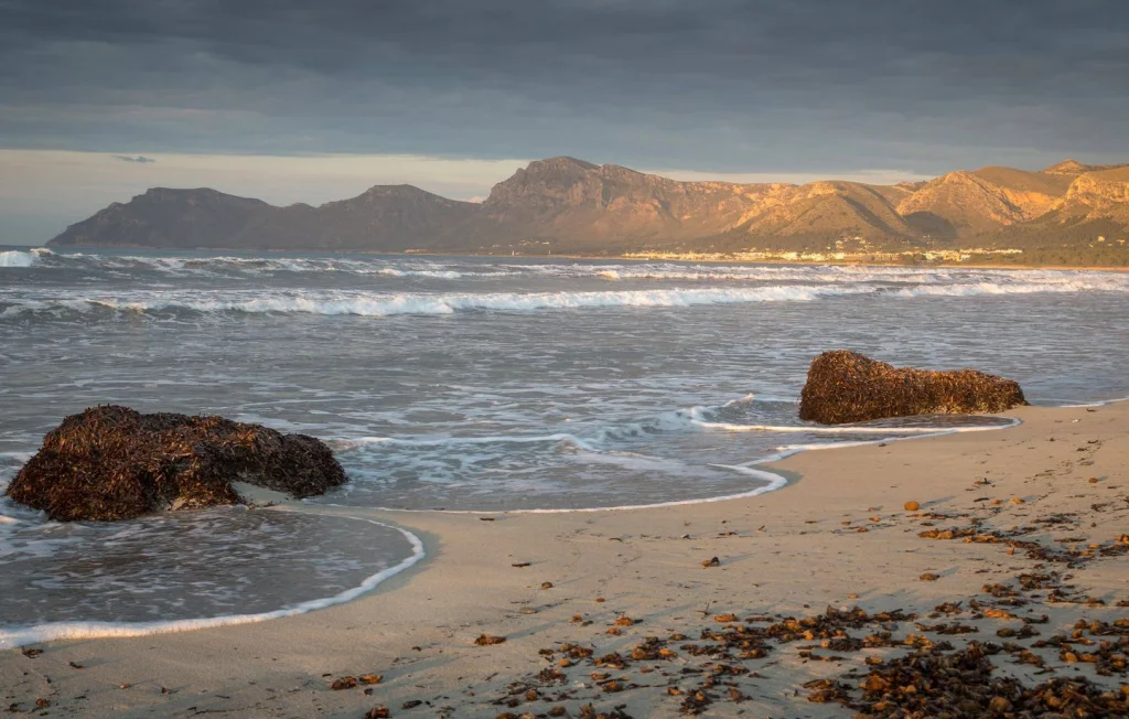 Vague soudaine blesse huit personnes sur une plage en Andalousie