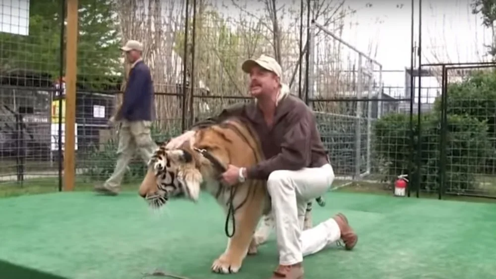 Joe Exotic avec ses tigres
