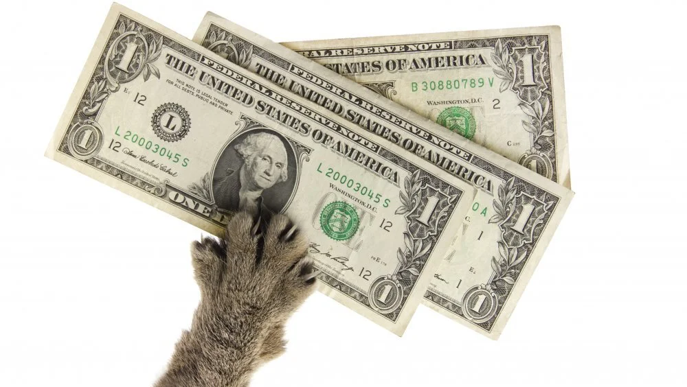 Doc Antle et son empire animalier