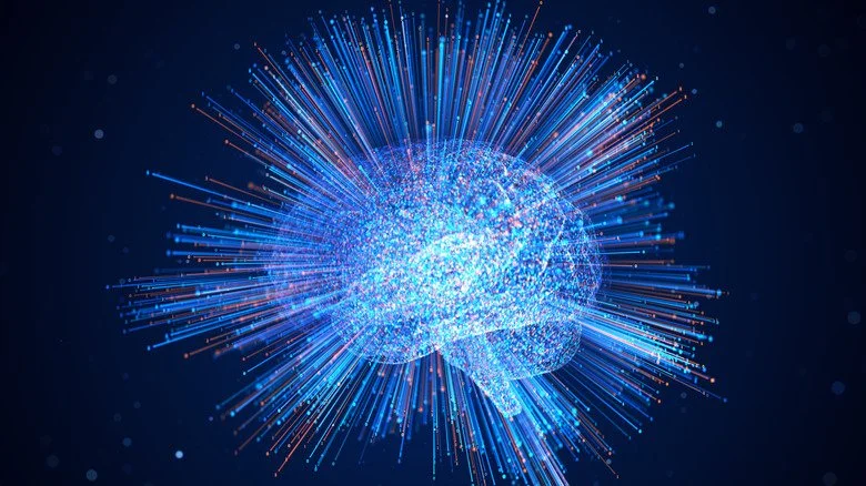 Cerveau illustré avec des lignes colorées