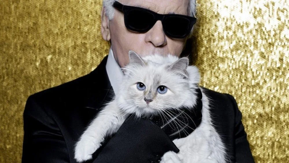 Karl Lagerfeld et son chat Choupette