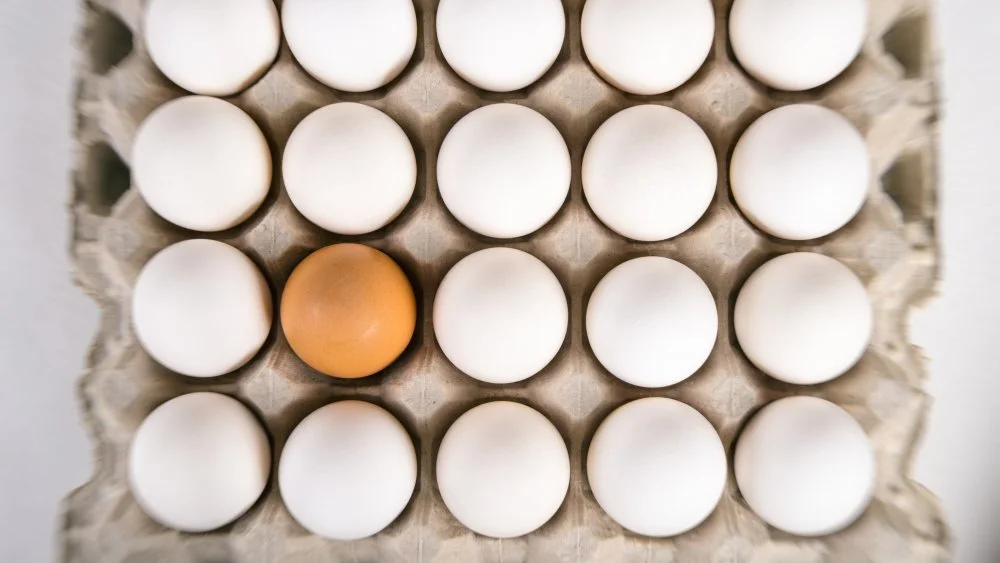 Test de QI et racisme