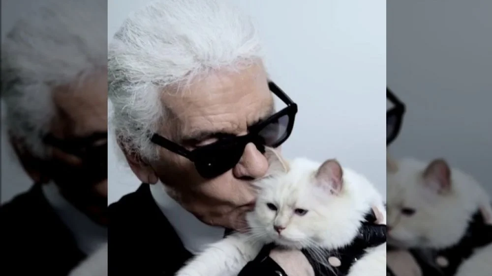 Karl Lagerfeld et Choupette