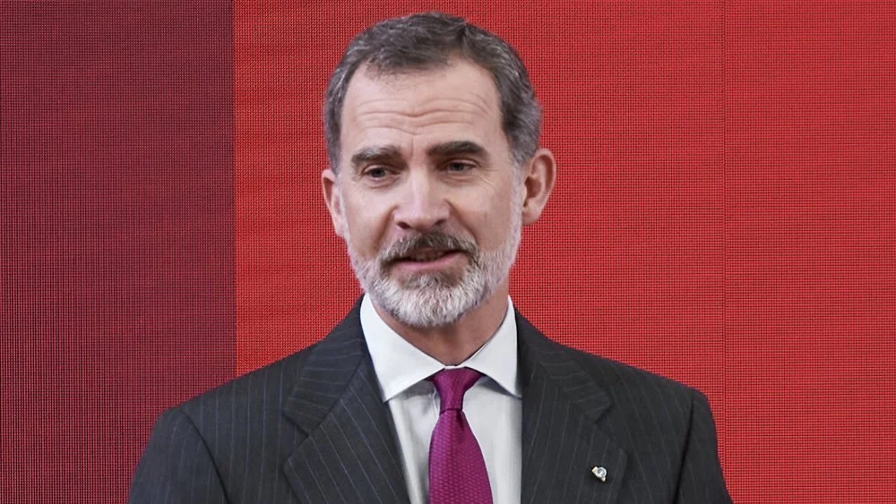 Roi Felipe VI limité par la constitution