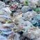 Déchets plastiques et pollution plastique
