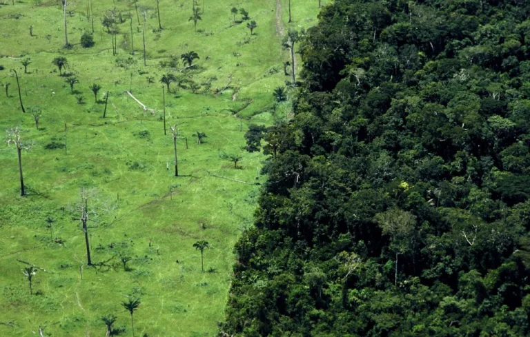 COP30 au Brésil : Moins de Promesses, Plus d&rsquo;Actions Climates