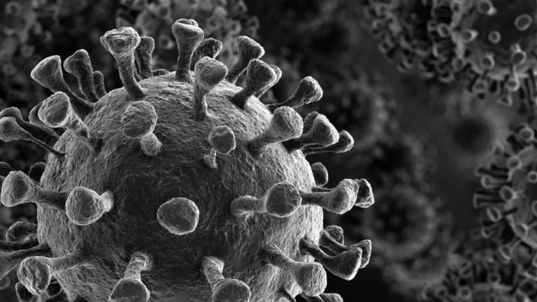 Différence entre pandémie et épidémie : explications