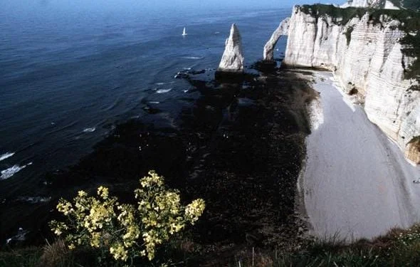Effondrement d'un pan de falaise près d'Etretat en Seine-Maritime