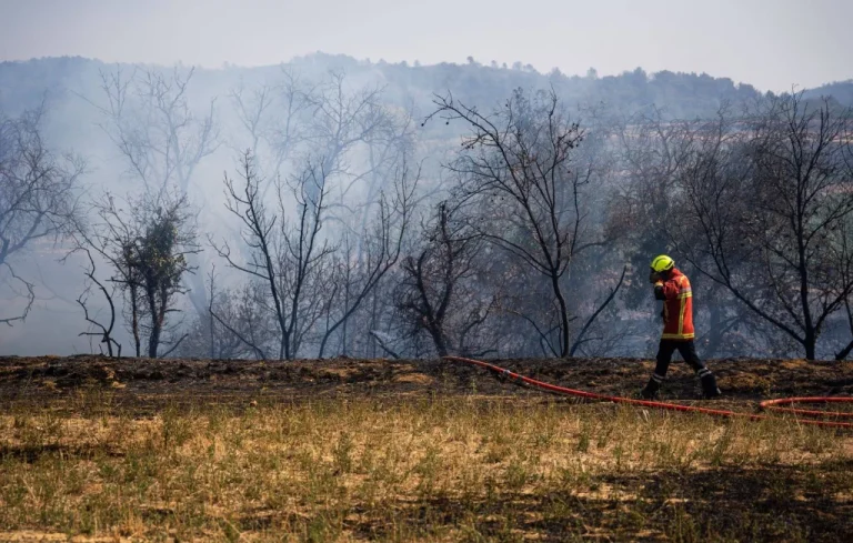 Incendie dans l&rsquo;Aude : un chantier inédit pour l&rsquo;ONF