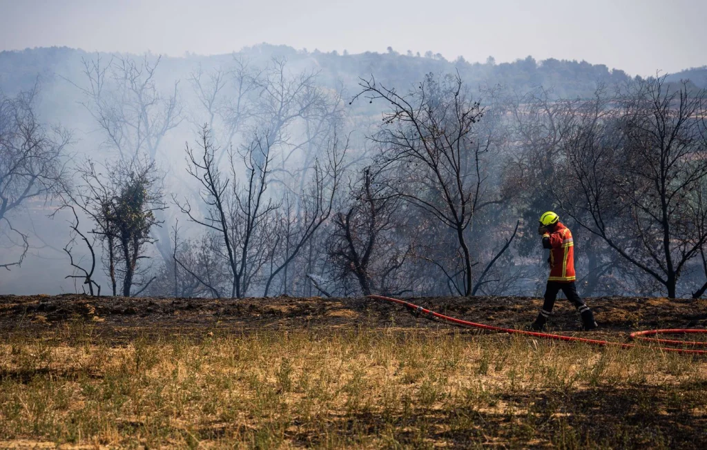 Incendie dans l'Aude : un chantier inédit pour l'ONF