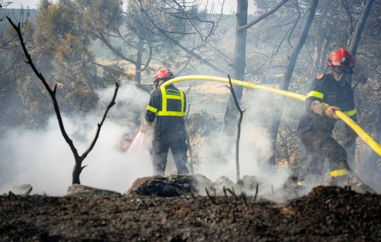 Incendie dans le Var : 130 hectares parcourus, pompiers mobilisés