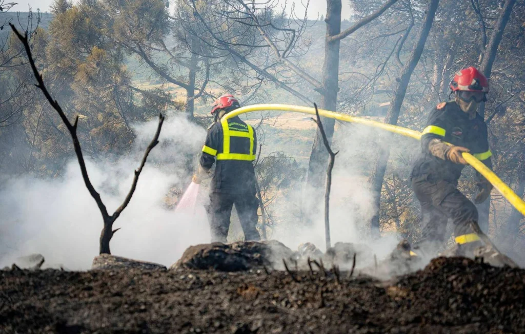 Incendie dans le Var : 130 hectares parcourus, pompiers mobilisés