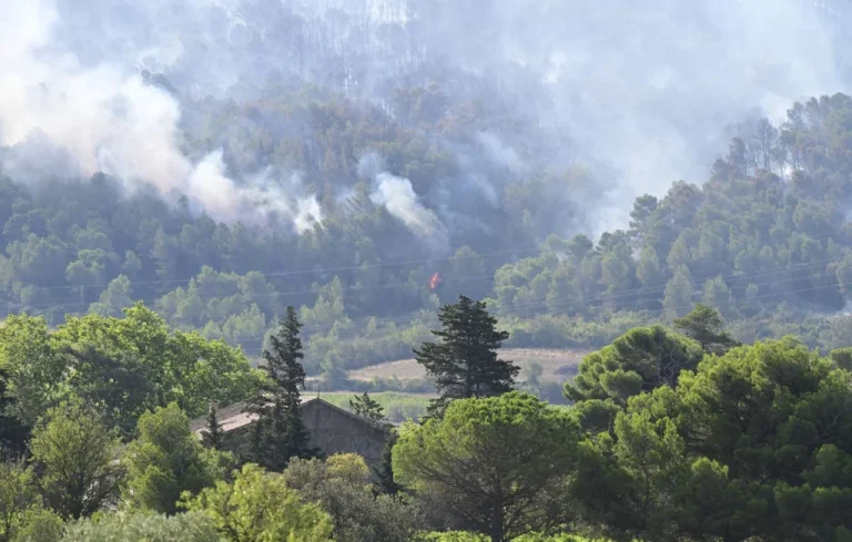 Incendie dévastateur dans l&rsquo;Aude : 12.000 hectares réduits en cendres