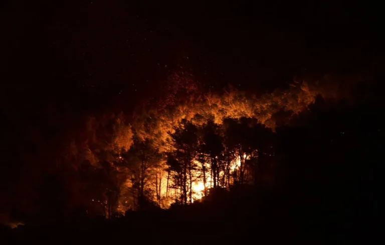 Incendie dévastateur dans l&rsquo;Aude : Pourquoi si rapide ?