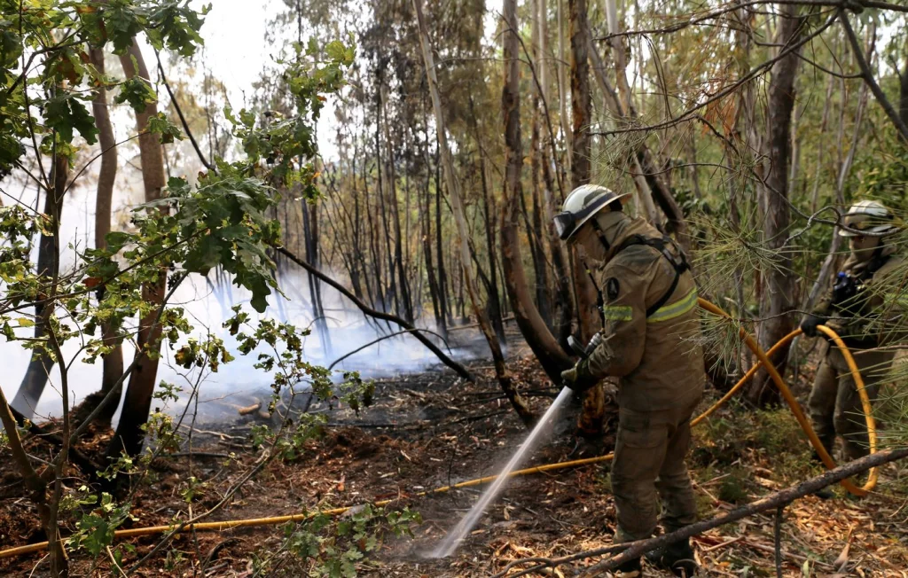 Incendies au Portugal : Un pompier perd la vie dans les flammes
