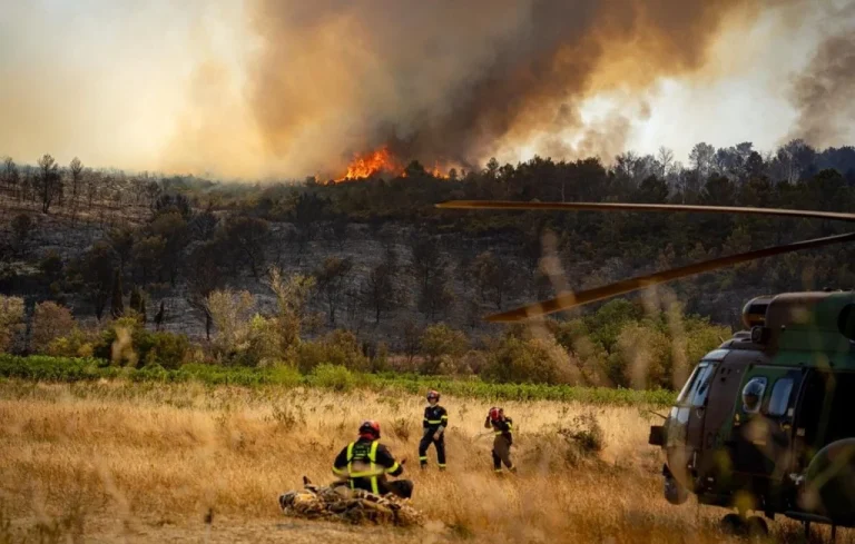 L&rsquo;exposition mondiale aux incendies a augmenté de 40 % en 20 ans