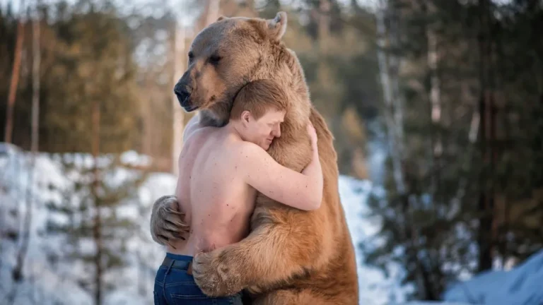 Les Chiens Qui Ressemblent à Des Ours : Une Illusion d&rsquo;Optique