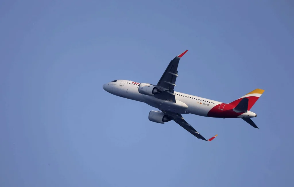 Un avion fait demi-tour en urgence après avoir heurté un oiseau