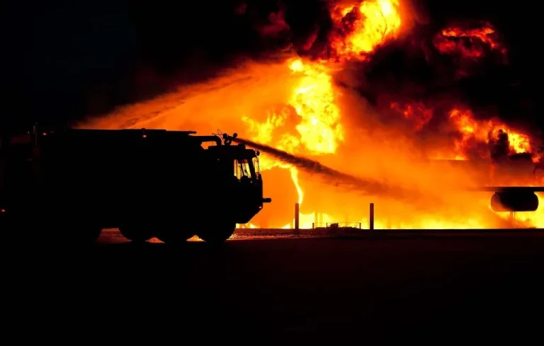 Un chien sauve 14 habitants d&rsquo;un incendie à Lamotte-Beuvron
