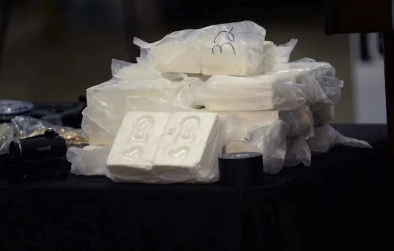 Une femme arrêtée avec 40 kg de cocaïne dans les Vosges