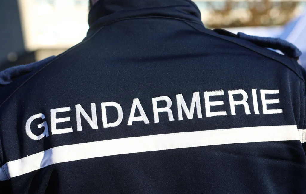 Vaucluse : Une retraitée tragiquement dévorée par un chien