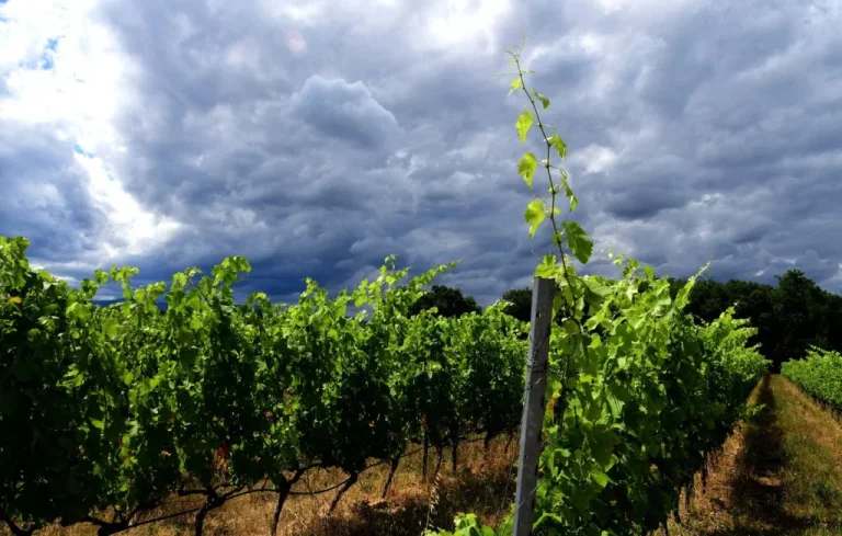 Vigilance orange : orages et pluies dans l&rsquo;Hérault, le Gard et la Lozère
