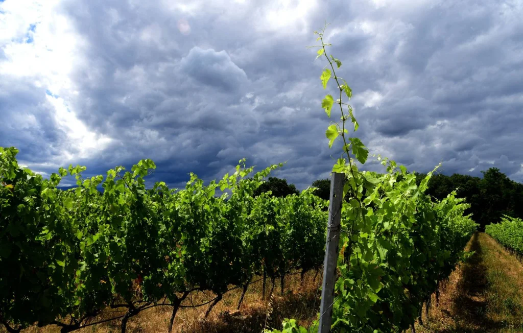 Vigilance orange : orages et pluies dans l'Hérault, le Gard et la Lozère