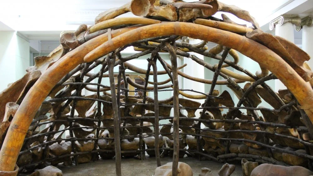 Habitation en os de mammouth