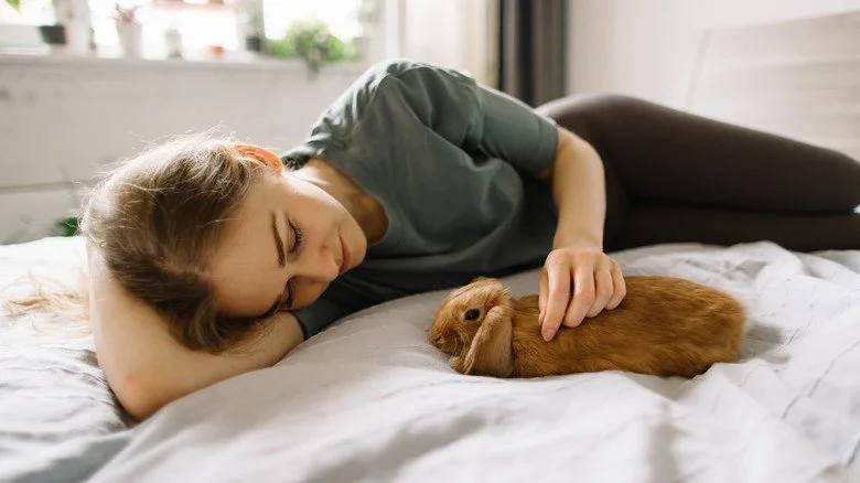 Femme allongée caressant un lapin domestique
