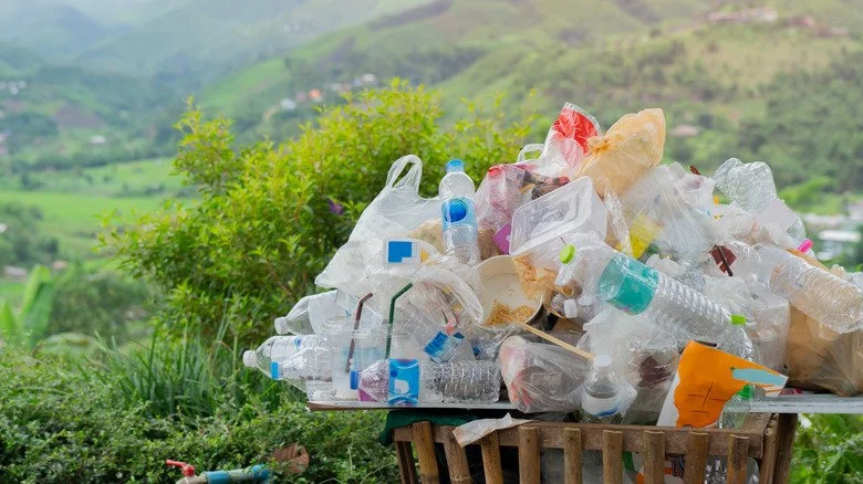 Plastiques débordant d'une poubelle dans un paysage naturel