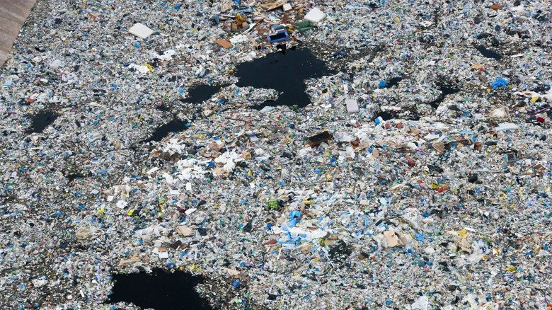 Déchets plastiques flottant à la surface de l'eau