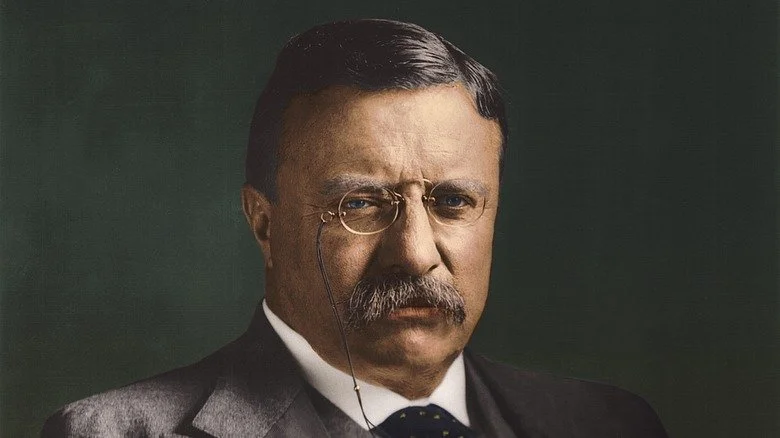 Theodore Roosevelt, former president of the United States