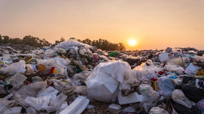 Tas de déchets plastiques au coucher du soleil