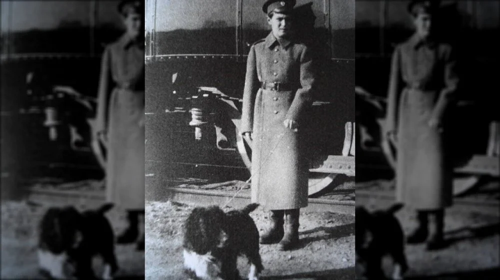 Radnost, le chien de la famille Romanov
