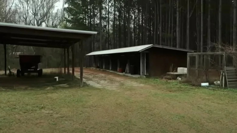 Zone de la propriété où les corps ont été découverts
