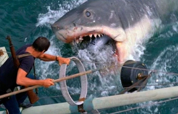 50 ans des Dents de la mer : Exposition à Los Angeles