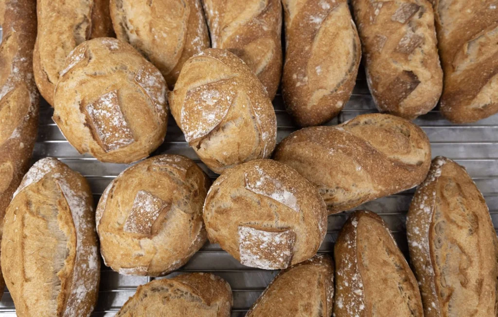 Agression à Grenoble : Deux voleurs de pain interpellés