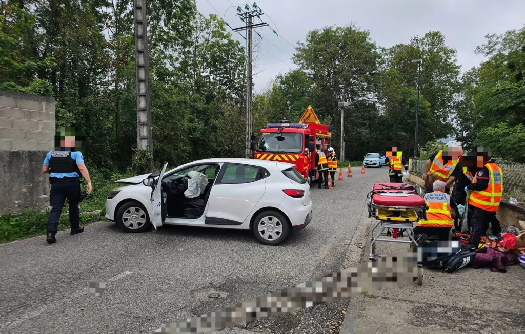 Ariège : Un accident de voiture causé par une guêpe