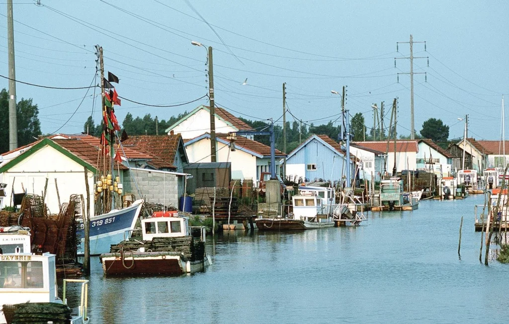 Découverte tragique à Boyardville : un corps dans une voiture immergée