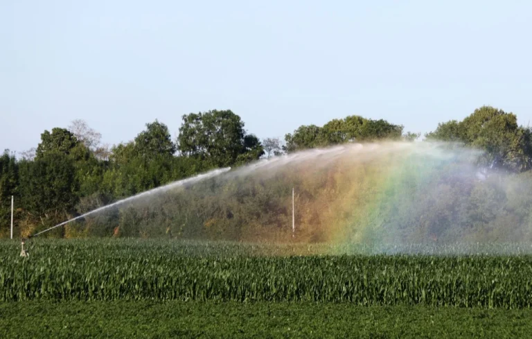 Été 2025 : Les nappes phréatiques en France s&rsquo;en sortent bien