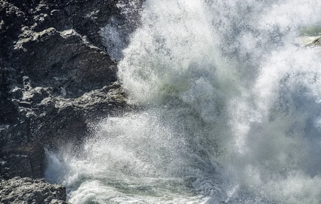 Franchissement des limites planétaires : quelles conséquences environnementales ?