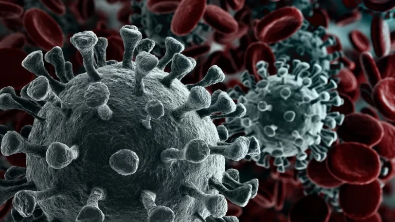Impact du Coronavirus sur la Saison Grippale 2020