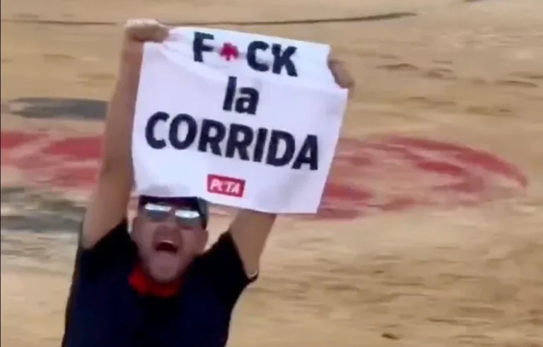 Jeremstar en garde à vue après une action anti-corrida à Nîmes