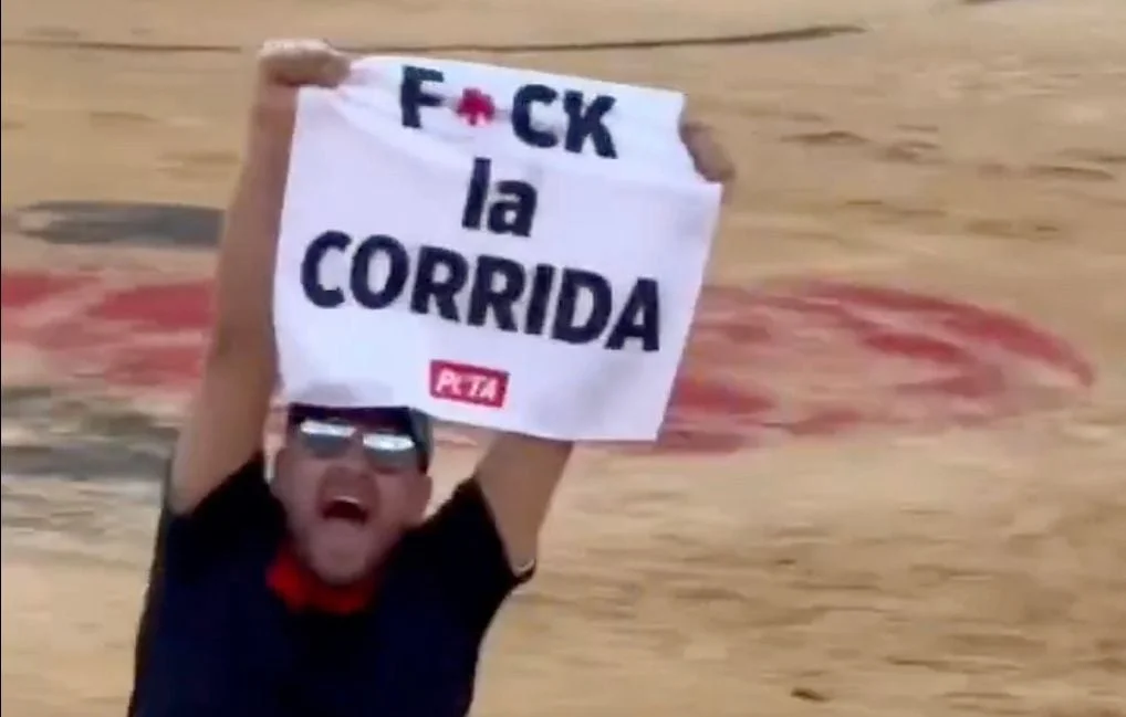 Jeremstar en garde à vue après une action anti-corrida à Nîmes