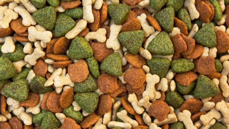 L&rsquo;Incroyable Histoire de la Nourriture pour Chiens Kirkland